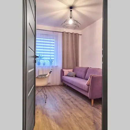 Uroczy Z Garazem Cracovie